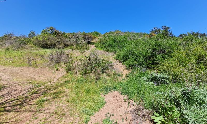 Imagen de WhatsApp 2024-10-16 a las 15.35.48_65e4f19c