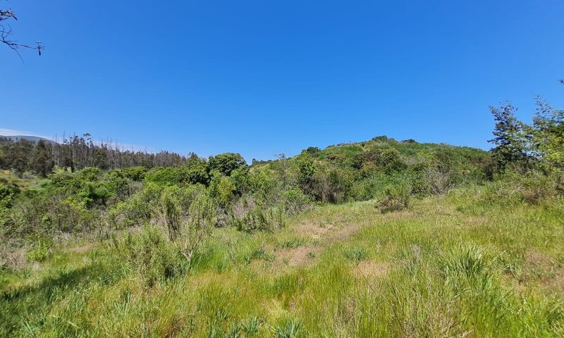 Imagen de WhatsApp 2024-10-16 a las 15.36.59_8ce5ff8f