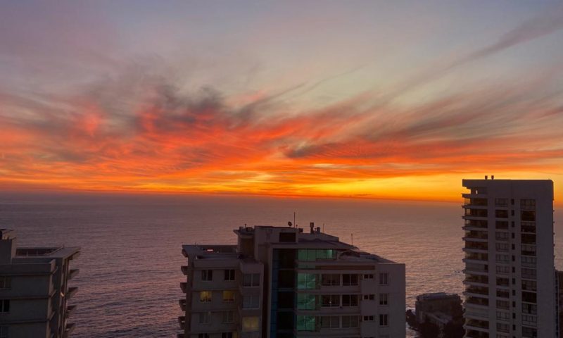 WhatsApp Image 2025-10-01 at 16.12.48