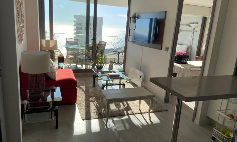 WhatsApp Image 2025-10-01 at 16.12.49 (1)