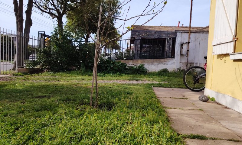 WhatsApp Image 2025-10-27 at 17.36.05 (1)