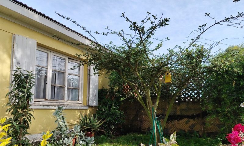 WhatsApp Image 2025-10-27 at 17.36.05 (2)